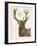 Neutral Deer I-Gwendolyn Babbitt-Framed Art Print