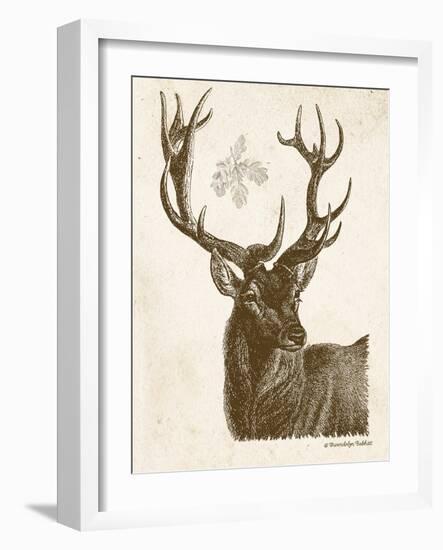 Neutral Deer I-Gwendolyn Babbitt-Framed Art Print