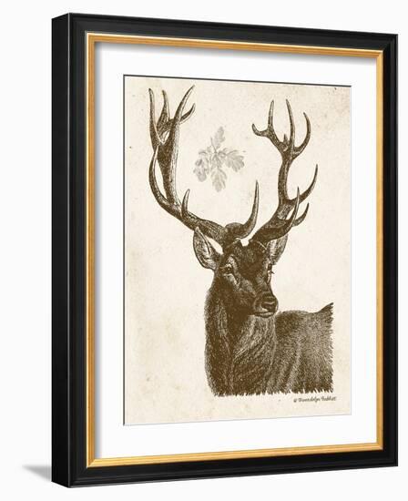 Neutral Deer I-Gwendolyn Babbitt-Framed Art Print