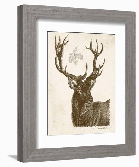 Neutral Deer I-Gwendolyn Babbitt-Framed Art Print