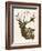 Neutral Deer II-Gwendolyn Babbitt-Framed Art Print