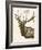 Neutral Deer II-Gwendolyn Babbitt-Framed Art Print