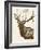 Neutral Deer II-Gwendolyn Babbitt-Framed Art Print