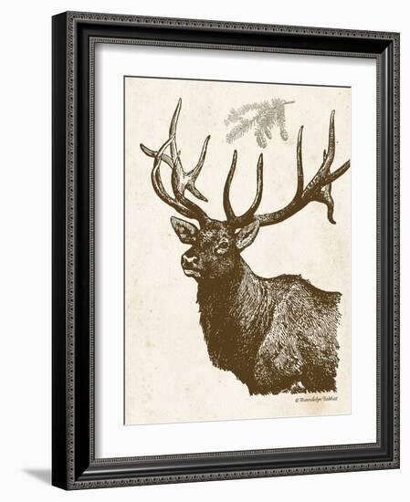 Neutral Deer II-Gwendolyn Babbitt-Framed Art Print