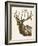 Neutral Deer II-Gwendolyn Babbitt-Framed Art Print