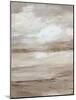 Neutral Dunes-Carol Robinson-Mounted Art Print