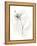 Neutral Floral Gesture IX-June Erica Vess-Framed Stretched Canvas