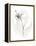 Neutral Floral Gesture IX-June Erica Vess-Framed Stretched Canvas