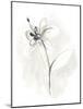 Neutral Floral Gesture IX-June Erica Vess-Mounted Art Print