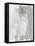 Neutral Minimalism II-Jennifer Goldberger-Framed Stretched Canvas