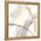 Neutral Momentum II-Jennifer Goldberger-Framed Stretched Canvas