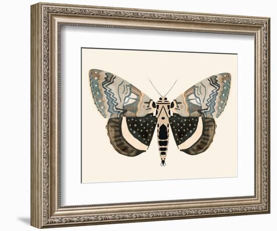 Neutral Moth I-Victoria Barnes-Framed Premium Giclee Print