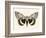 Neutral Moth I-Victoria Barnes-Framed Premium Giclee Print