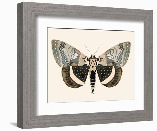 Neutral Moth I-Victoria Barnes-Framed Premium Giclee Print