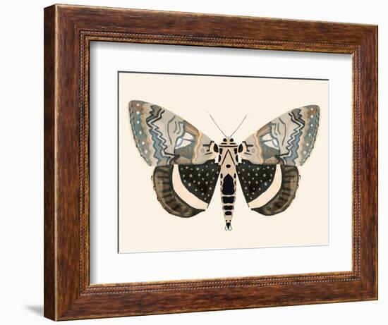 Neutral Moth I-Victoria Barnes-Framed Premium Giclee Print