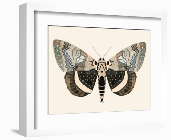 Neutral Moth I-Victoria Barnes-Framed Premium Giclee Print