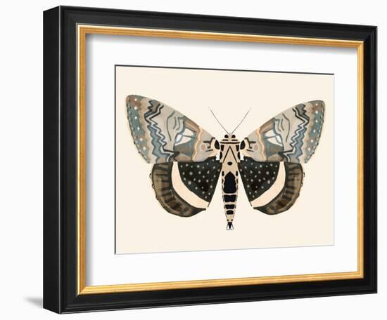 Neutral Moth I-Victoria Barnes-Framed Premium Giclee Print