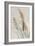 Neutral Pampas Grasses II-Danhui Nai-Framed Art Print