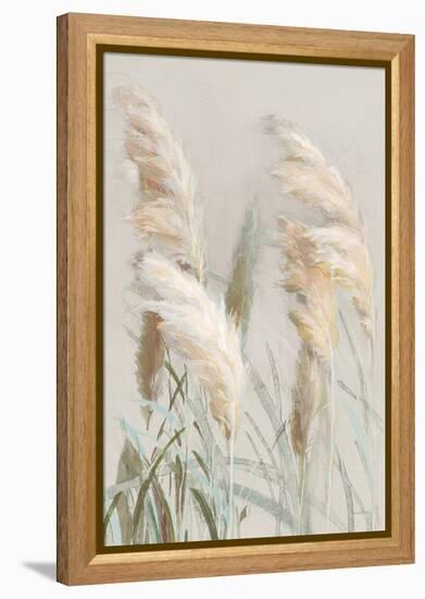 Neutral Pampas Grasses III-Danhui Nai-Framed Stretched Canvas