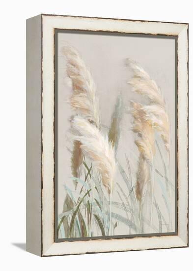 Neutral Pampas Grasses III-Danhui Nai-Framed Stretched Canvas