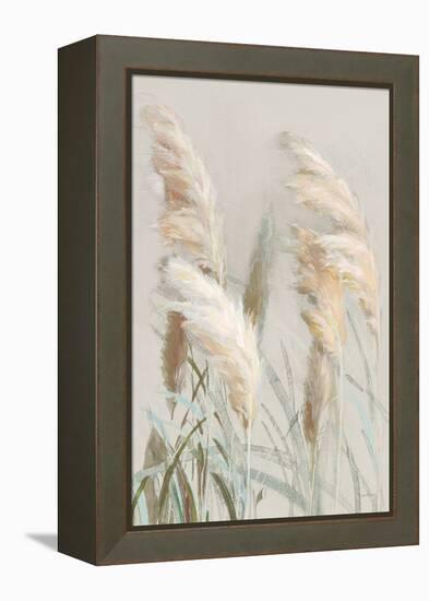 Neutral Pampas Grasses III-Danhui Nai-Framed Stretched Canvas