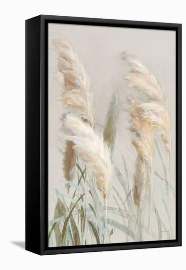 Neutral Pampas Grasses III-Danhui Nai-Framed Stretched Canvas