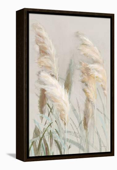 Neutral Pampas Grasses III-Danhui Nai-Framed Stretched Canvas