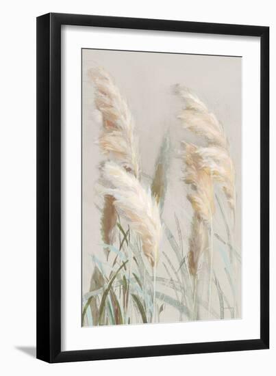 Neutral Pampas Grasses III-Danhui Nai-Framed Premium Giclee Print