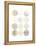 Neutral Pattern Play I-June Vess-Framed Stretched Canvas