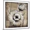 Neutral Poppies I-Tim O'toole-Mounted Art Print