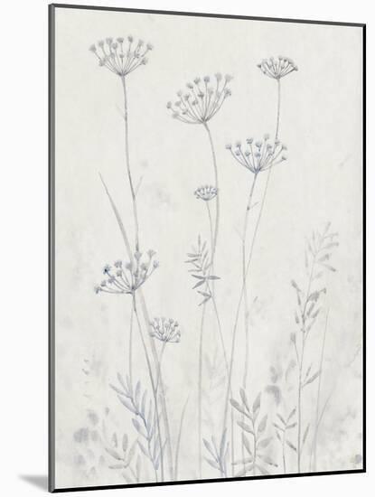 Neutral Queen Anne's Lace II-null-Mounted Art Print