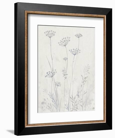 Neutral Queen Anne's Lace II-null-Framed Premium Giclee Print