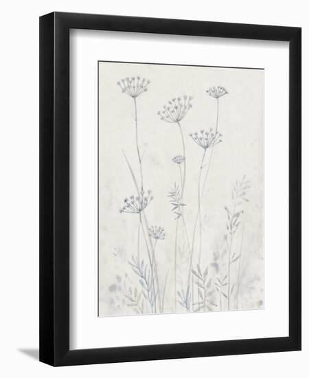 Neutral Queen Anne's Lace II-null-Framed Premium Giclee Print