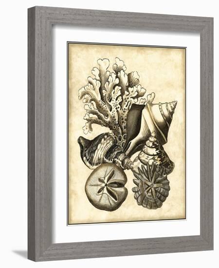Neutral Shell and Coral Collection II-Vision Studio-Framed Art Print