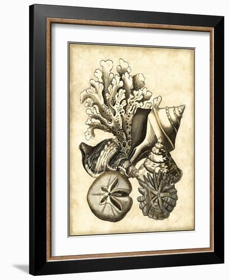 Neutral Shell and Coral Collection II-Vision Studio-Framed Art Print