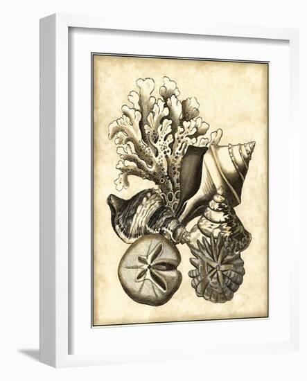 Neutral Shell and Coral Collection II-Vision Studio-Framed Art Print