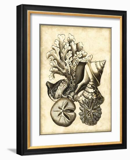 Neutral Shell and Coral Collection II-Vision Studio-Framed Art Print