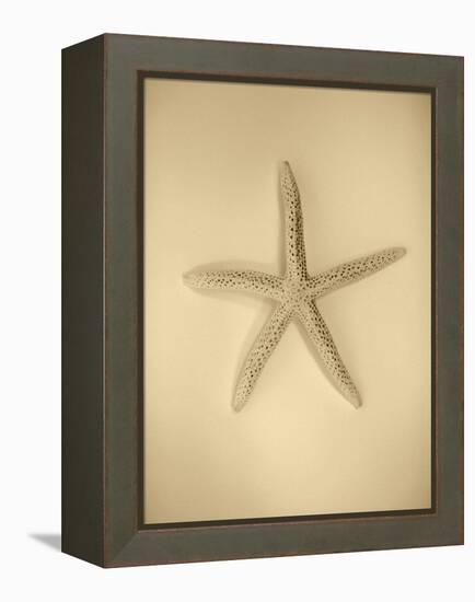 Neutral Shell I-Jairo Rodriguez-Framed Premier Image Canvas