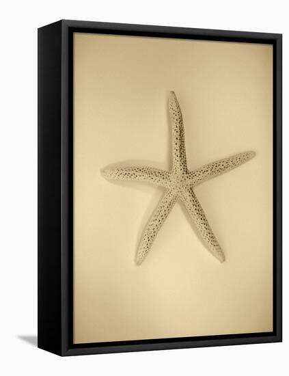 Neutral Shell I-Jairo Rodriguez-Framed Premier Image Canvas