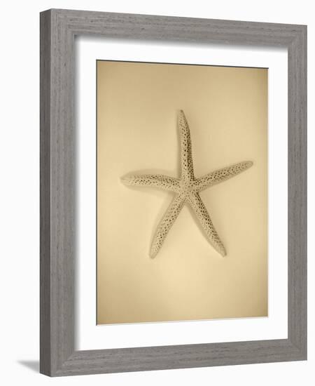 Neutral Shell I-Jairo Rodriguez-Framed Photographic Print