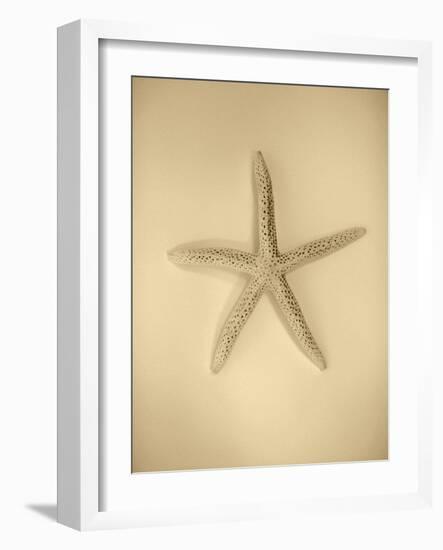 Neutral Shell I-Jairo Rodriguez-Framed Photographic Print