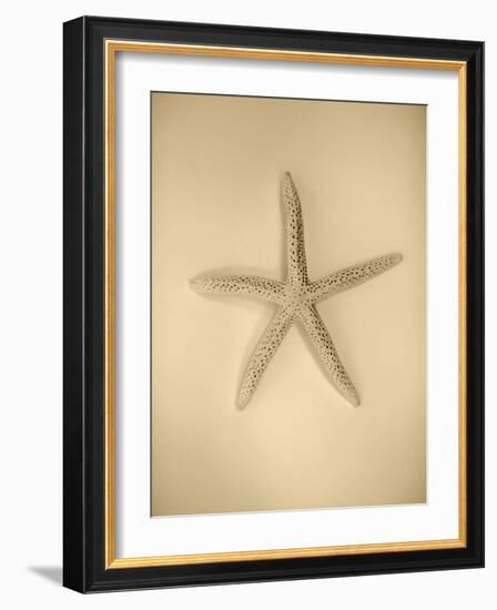 Neutral Shell I-Jairo Rodriguez-Framed Photographic Print