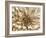 Neutral Wall Flower I-Alonzo Saunders-Framed Art Print