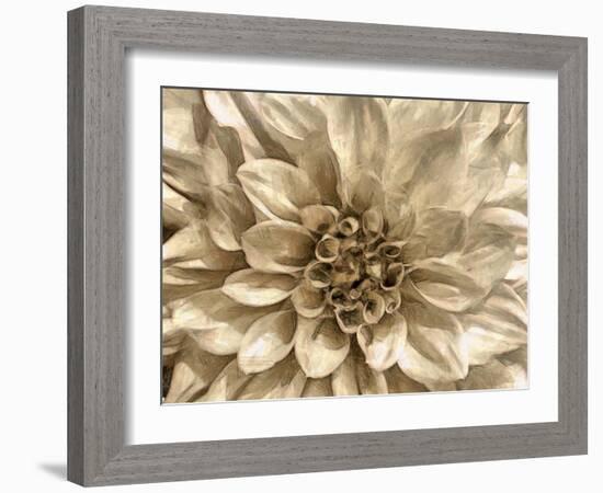 Neutral Wall Flower I-Alonzo Saunders-Framed Art Print