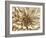 Neutral Wall Flower I-Alonzo Saunders-Framed Art Print