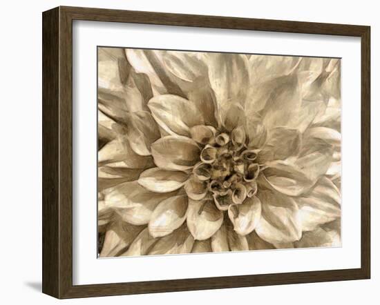 Neutral Wall Flower I-Alonzo Saunders-Framed Art Print