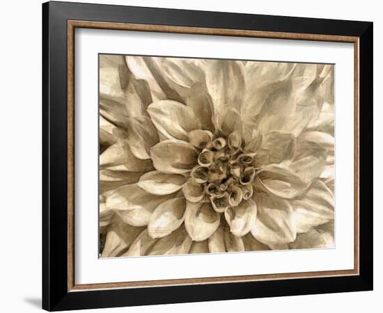 Neutral Wall Flower I-Alonzo Saunders-Framed Art Print