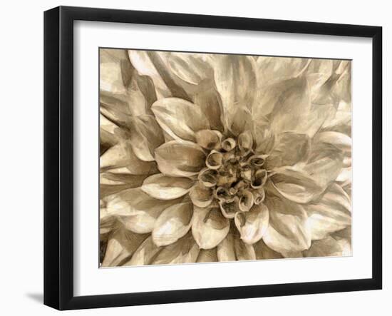 Neutral Wall Flower I-Alonzo Saunders-Framed Art Print