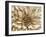 Neutral Wall Flower I-Alonzo Saunders-Framed Art Print