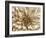 Neutral Wall Flower I-Alonzo Saunders-Framed Art Print